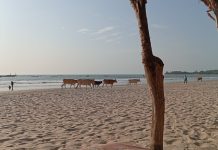 The Magic of Gambia’s Rainbow Beach Resort …